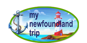My Newfoundland Stay logo